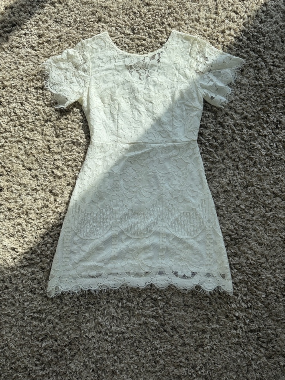 Delicate Cream Lace Mini Dress with Flutter Sleeves